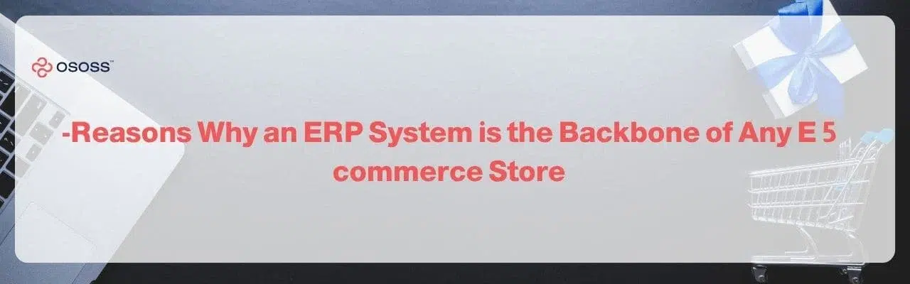 Header banner highlighting the importance of ERP System solutions as the core backbone of successful e-commerce stores, branded by Ososs.