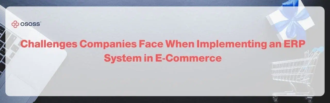 Banner image highlighting Challenges Companies Face When Implementing an ERP System in E-Commerce by ososs.